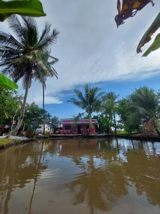 Pink Homestay D'Perlis Kangar Exteriér fotografie